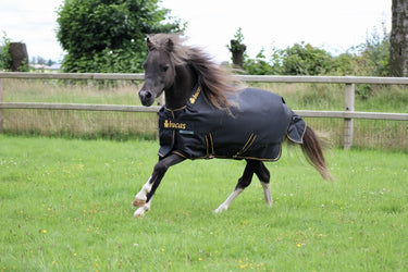 Bucas Irish Turnout 50g Pony Rug
