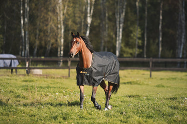 Bucas Irish Turnout 250g Rug