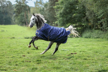 Bucas Irish Turnout 150g Rug