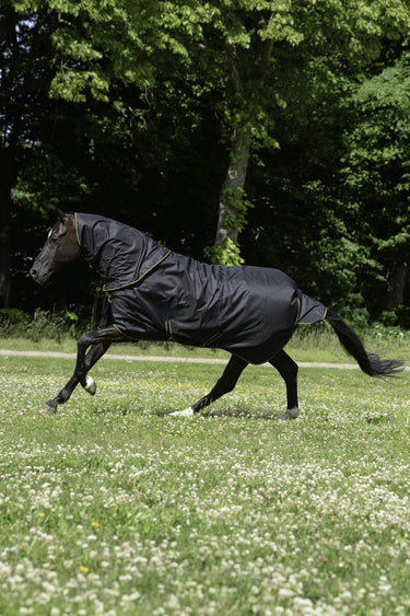 Bucas Irish Turnout 50g + Neck Rug