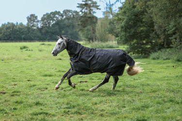 Bucas Irish Turnout 50g + Neck Rug