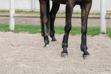 Je T'Aime Equithème Fetlock And Tendon Boots| Online For Equine