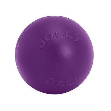 Buy Jolly Pets Push-N-Play Purple | Online for Equine