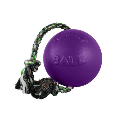 Buy Jolly Pets Romp-N-Roll Purple | Online for Equine