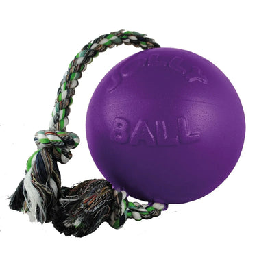 Buy Jolly Pets Romp-N-Roll Purple | Online for Equine