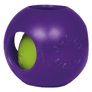 Buy Jolly Pets Teaser Ball Purple | Online for Equine