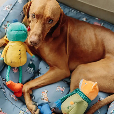 Joules Rope Legs Dog Toy| Online For Equine
