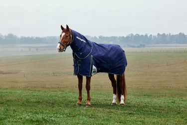 Weatherbeeta Comfitec Plus Dynamic Turnout Detach-A-Neck 0G Navy/ Forest Green