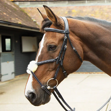 KM Elite Leather Grackle Bridle| Online For Equine