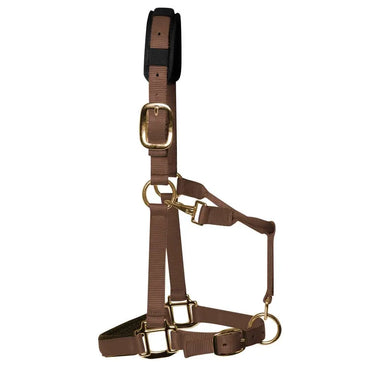 KM Elite Padded Headcollar Brown| Online For Equine