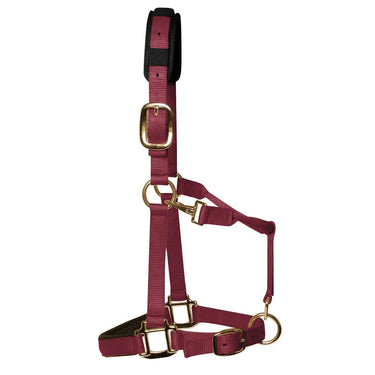 KM Elite Padded Headcollar Burgundy| Online For Equine