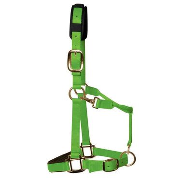 KM Elite Padded Headcollar Hot Green| Online For Equine