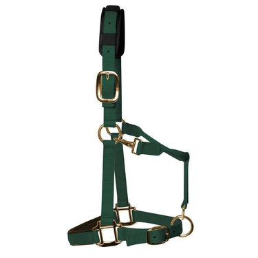 KM Elite Padded Headcollar Hunter Green| Online For Equine