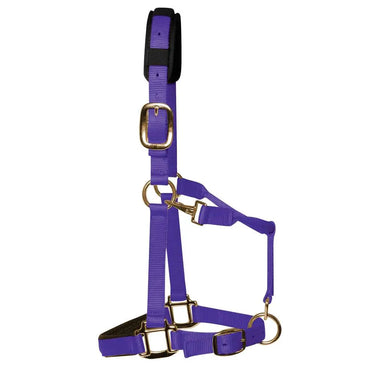 KM Elite Padded Headcollar Purple| Online For Equine