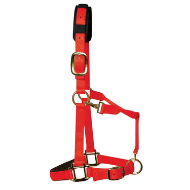 KM Elite Padded Headcollar Red| Online For Equine