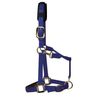 KM Elite Padded Headcollar Royal Blue| Online For Equine