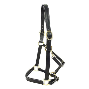 KM Elite Padded Leather Headcollar Black