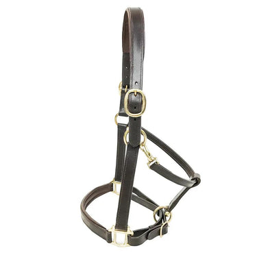 KM Elite Padded Leather Headcollar Havana