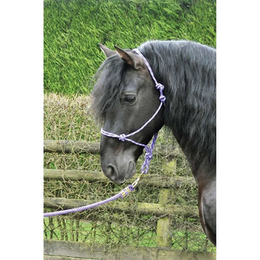 KM Elite Rope Halter Purple/Lilac| Online For Equine