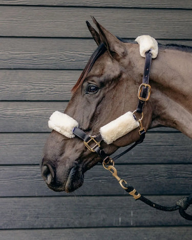 KM Elite Teddy Soft Headstall Set| Online For Equine