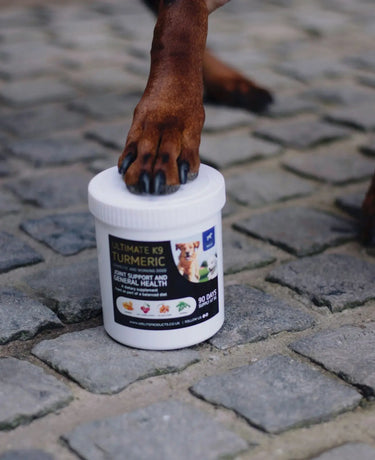 KM Elite Ultimate K9 Turmeric 450G| Online For Equine