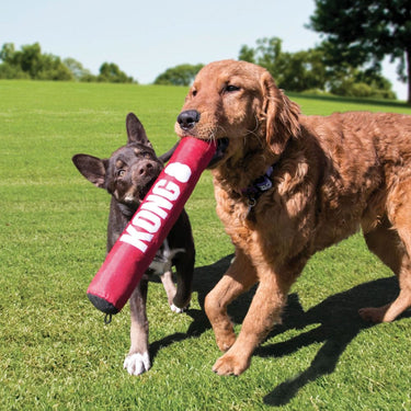 Kong Signature Stick| Online For Equine