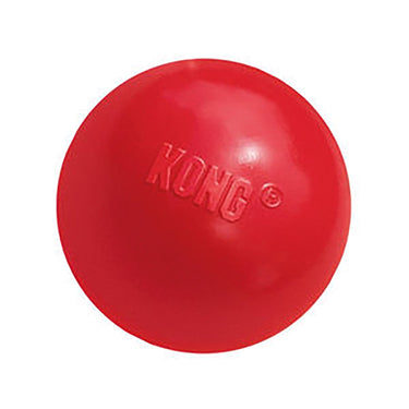 Kong Ball| Online For Equine