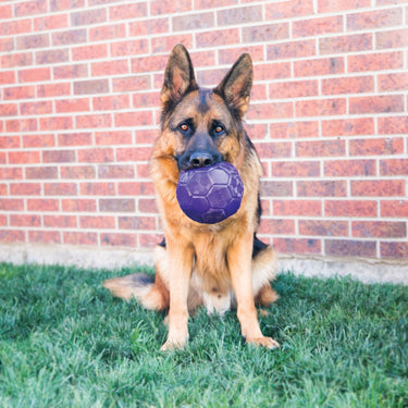 Buy Kong Flexball | Online for Equine