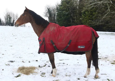 Kevin Milner Christmas Cards| Online For Equine