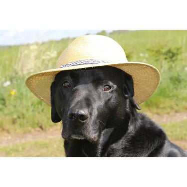 Kevin Milner Countryside Cards| Online For Equine