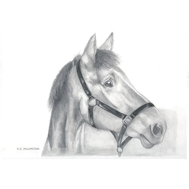 Kevin Milner Countryside Cards| Online For Equine