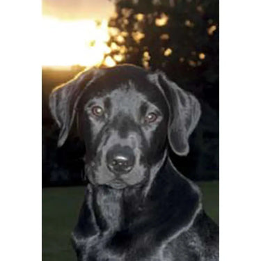 Kevin Milner Countryside Cards| Online For Equine