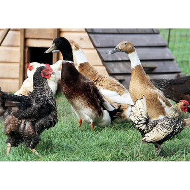 Kevin Milner Countryside Cards| Online For Equine