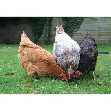 Kevin Milner Countryside Cards| Online For Equine