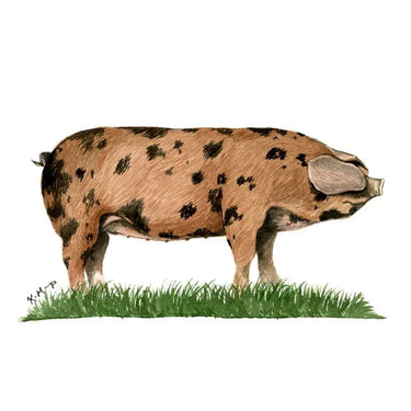 Kevin Milner Countryside Cards| Online For Equine