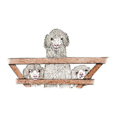 Kevin Milner Countryside Cards| Online For Equine