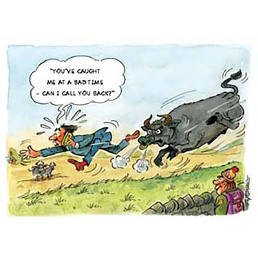 Kevin Milner Countryside Cards| Online For Equine