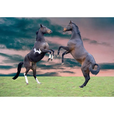 Kevin Milner Countryside Cards| Online For Equine