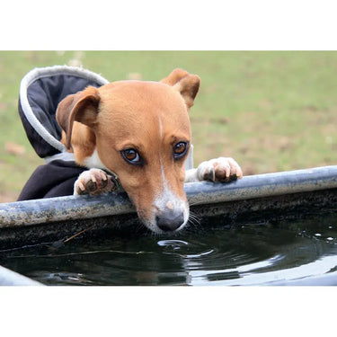 Kevin Milner Countryside Cards| Online For Equine