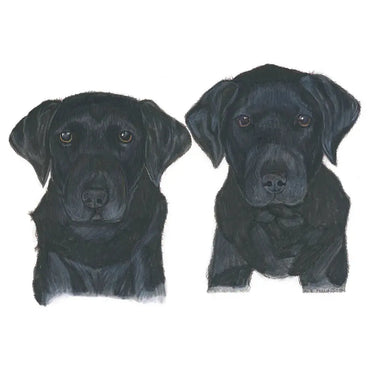 Kevin Milner Countryside Cards| Online For Equine