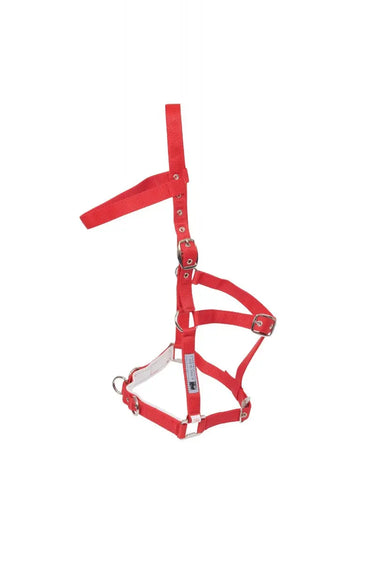 Buy Kincade Nylon Padded Lunge Cavesson| Online for Equine