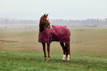 Weatherbeeta Comfitec Prelim Turnout 0G