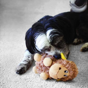 Buy Kong Cruncheez Sheep Toy-Large| Online for Equine