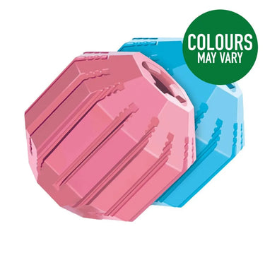Buy Kong Puppy Activity Ball Toy-Medium-Assorted| Online for Equine