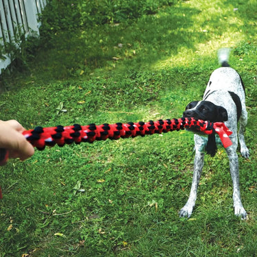 Buy Kong Signature Rope Mega Dual Knot | Online for Equine