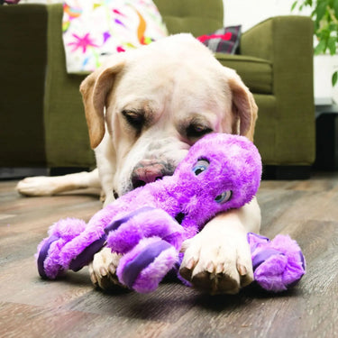 Kong Softseas Octopus| Online For Equine