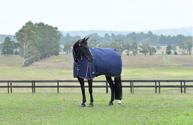 Weatherbeeta Comfitec Essential Turnout Combo 360G Navy/ Burgundy