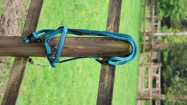 Lami-Cell Charming Lead Rope| Online For Equine