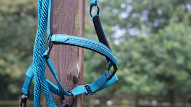 Lami-Cell Charming Lead Rope| Online For Equine