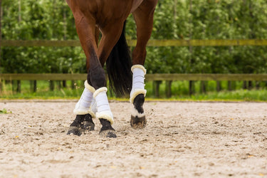 Lami-Cell Comfort - Tendon Boots